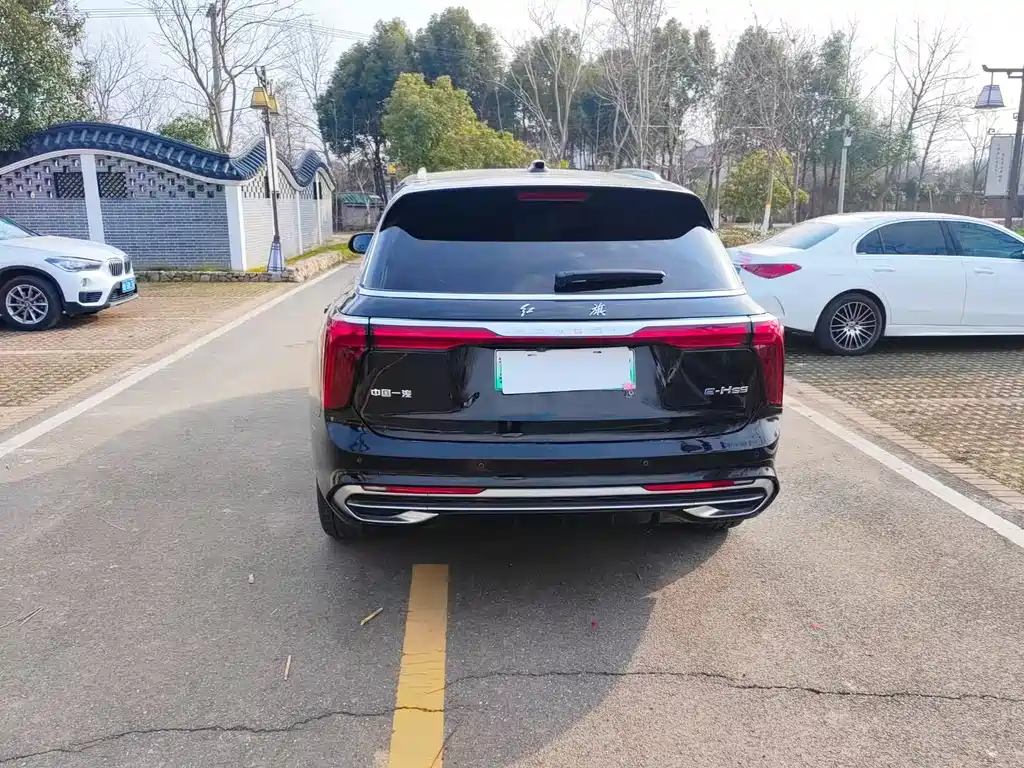 Hongqi HONGQI E HS9