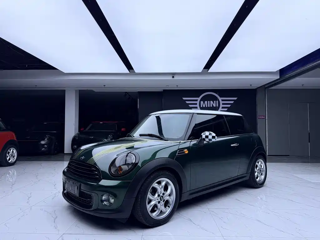 Mini Mini 2013