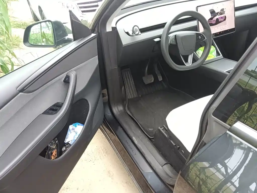 Tesla Model Y — миниатюра 12