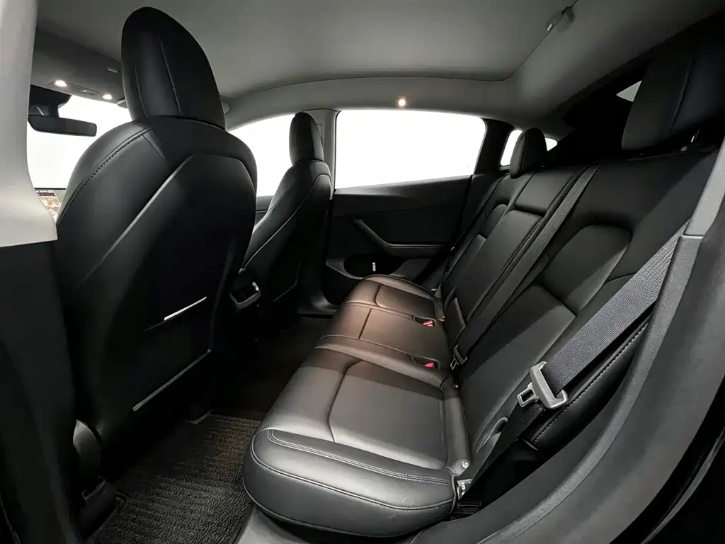 Tesla Model Y — миниатюра 16