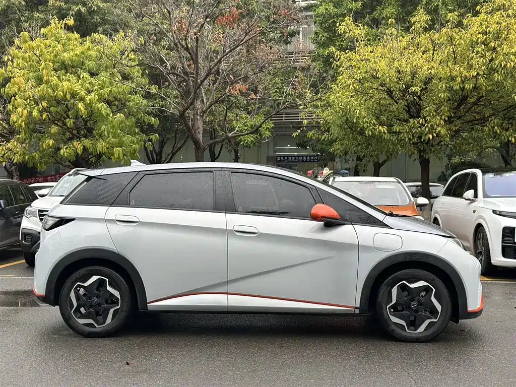 BYD DOLPHIN