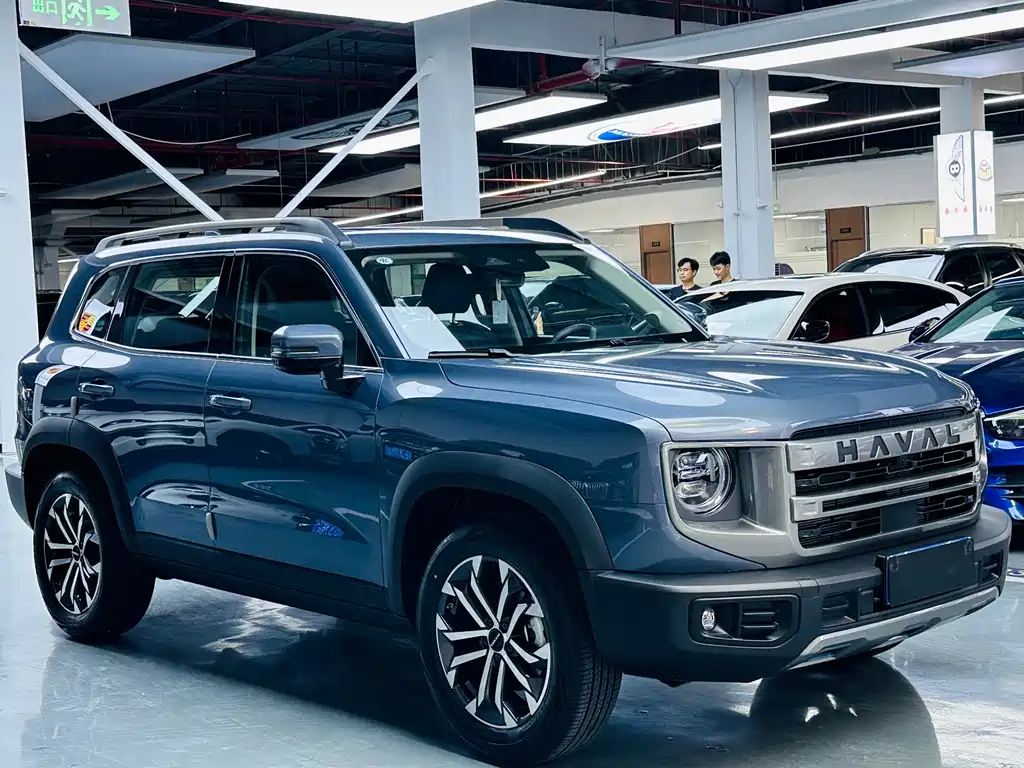 HAVAL  BIG DOG