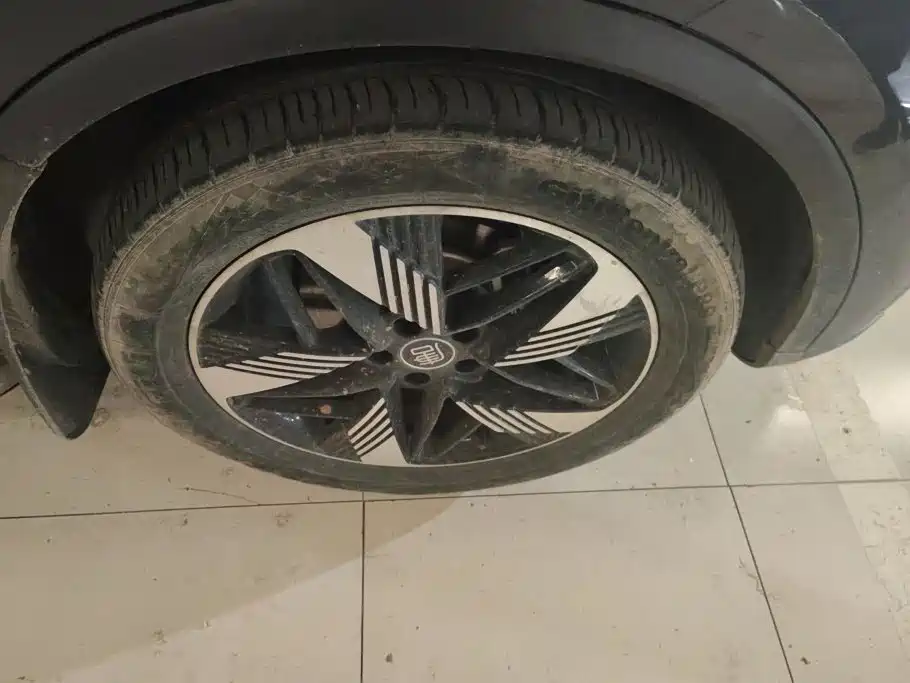 BYD Tang New Energy — миниатюра 6