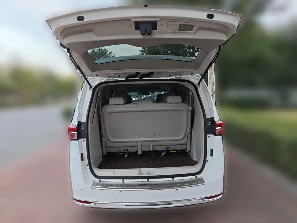 Buick GL8 — миниатюра 20