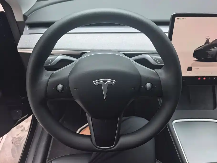 Tesla Model Y — миниатюра 15