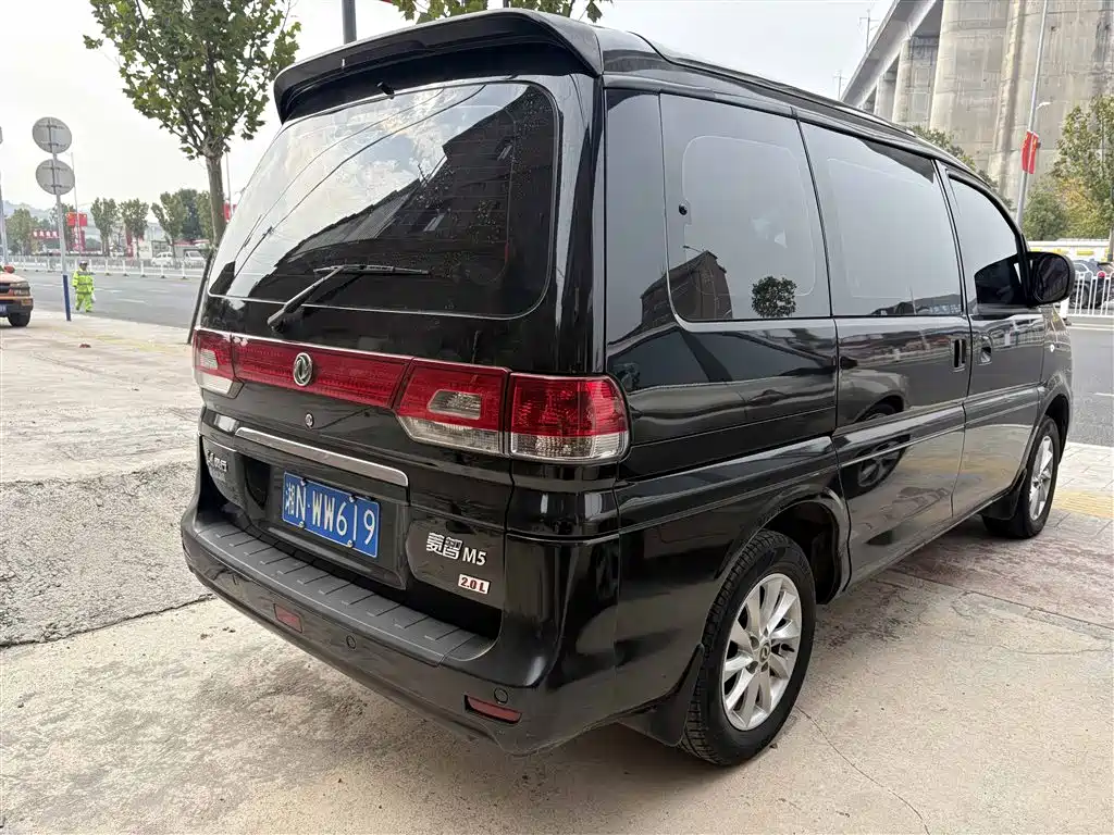 DONGFENG LINGZHI
