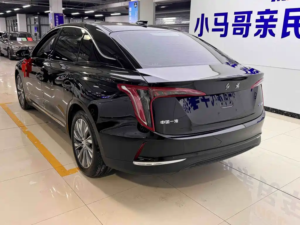 Hongqi HONGQI E QM5
