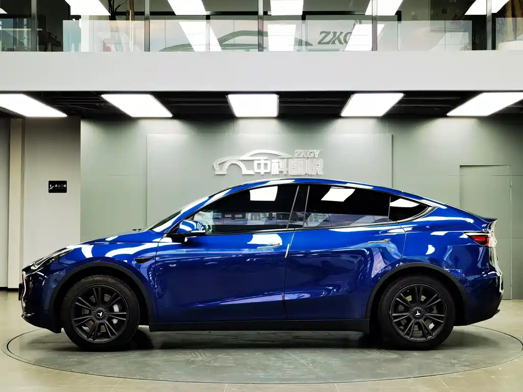 Tesla Model Y — миниатюра 2