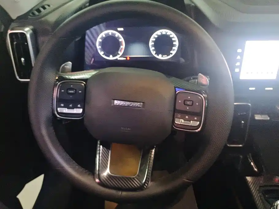 Haval Big Dog — миниатюра 14