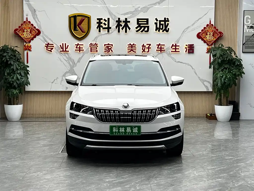 Skoda Karoq — миниатюра 2