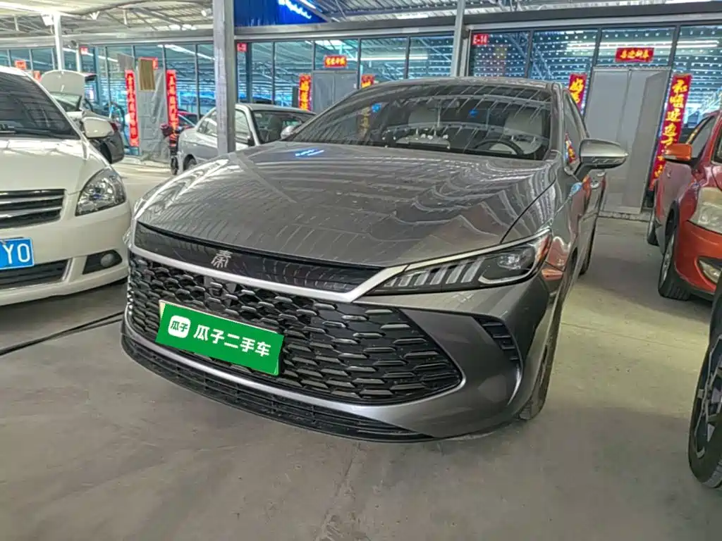 BYD Qin Plus 2025 DM-i Smart Drive Edition 55KM Leading Type
