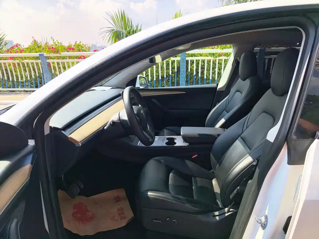 Tesla Model Y — миниатюра 12