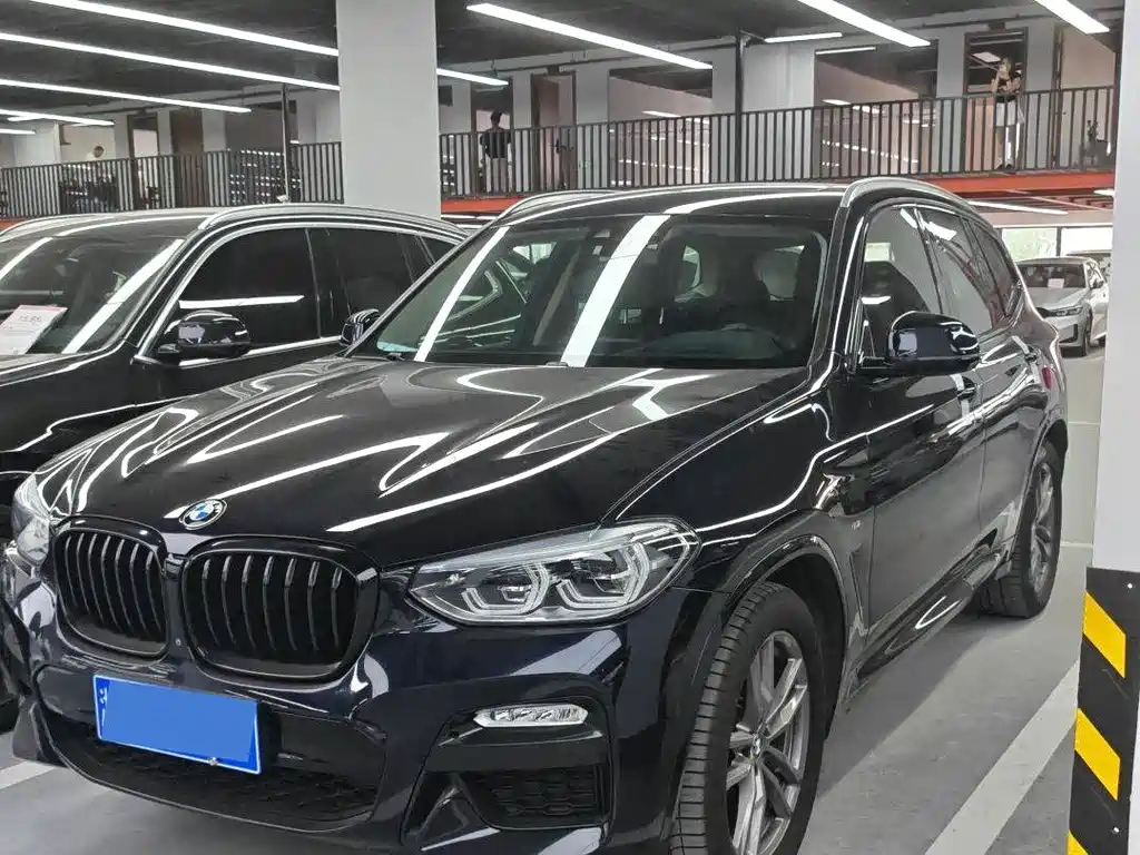 BMW X3 2018 xDrive30i Leading Type M Sport Package China V