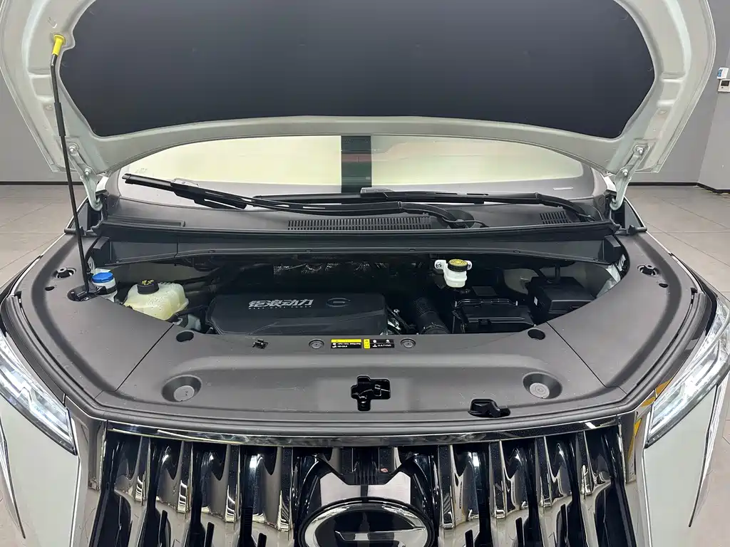GAC Motor Trumpchi M8 — миниатюра 13