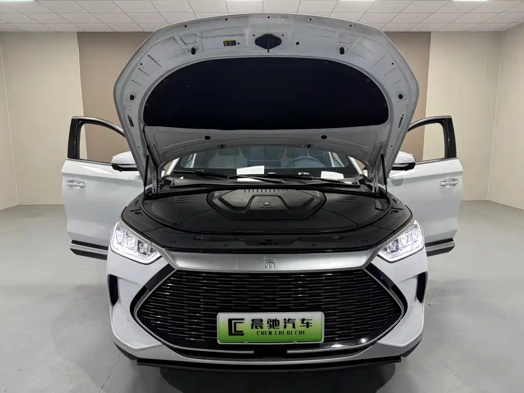 BYD SONGJIANG NEW ENERGY