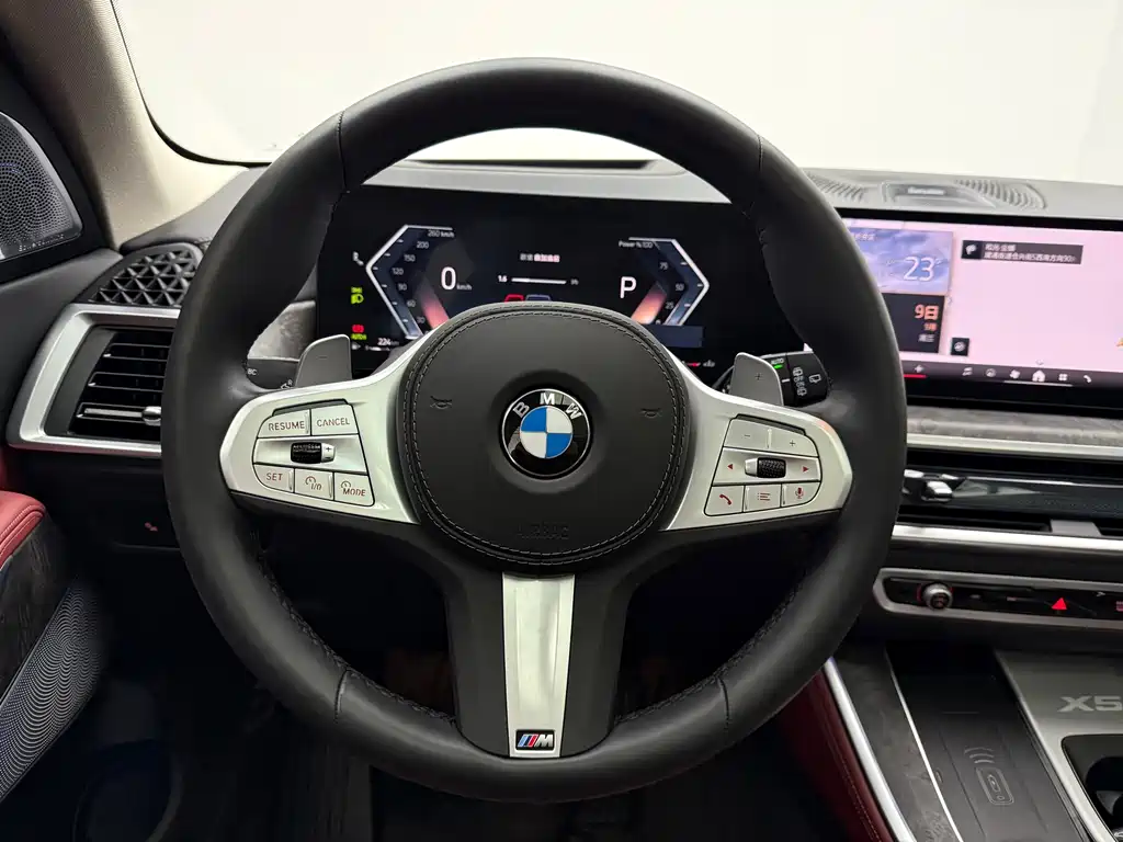 BMW X5 — миниатюра 9