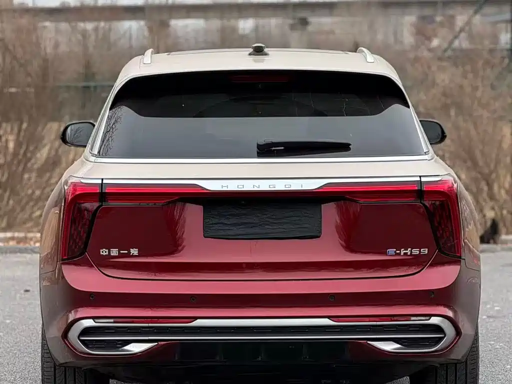 Hongqi HONGQI E HS9