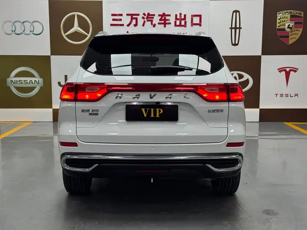 HAVAL M6