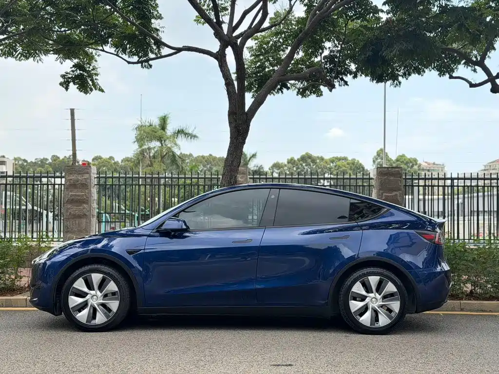 Tesla Model Y — миниатюра 3