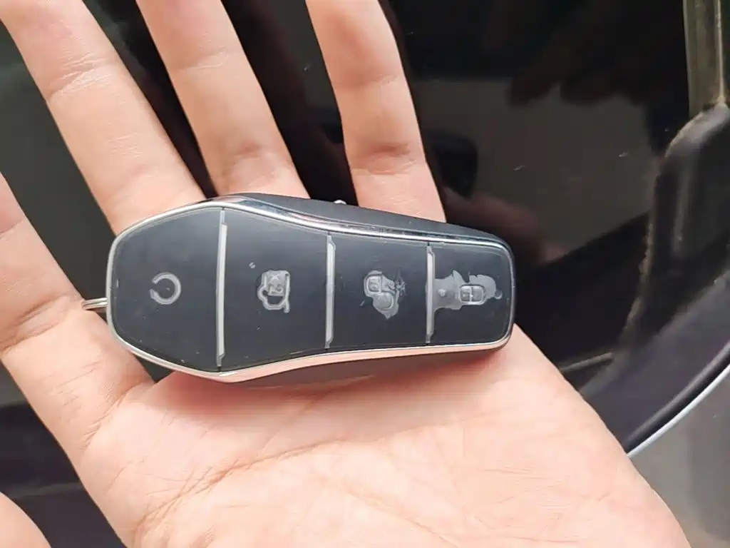 BYD Song L DM-i L DM-i 2025 Smart Drive 112km Lead