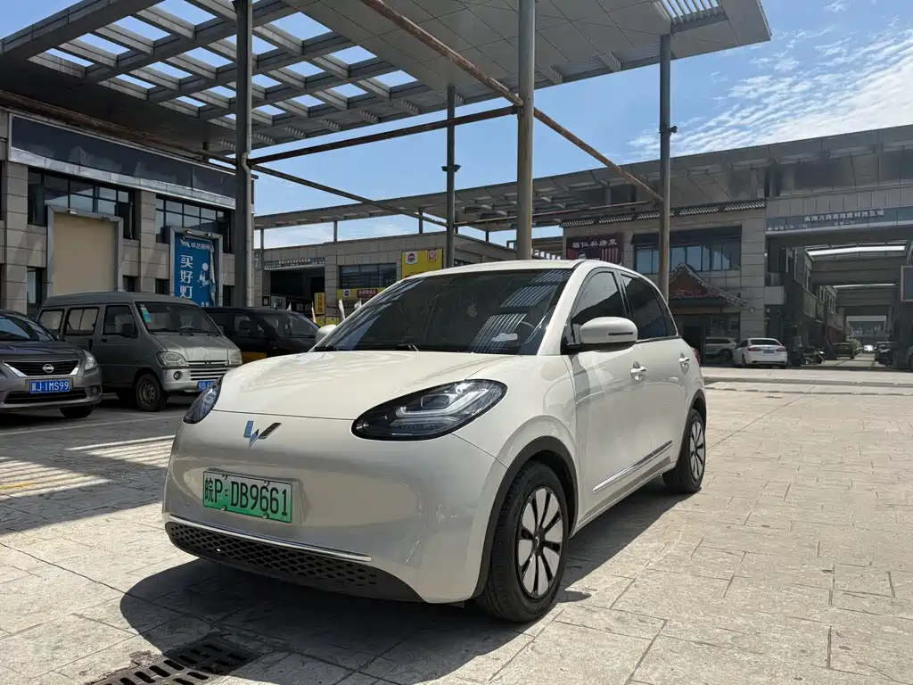 Wuling Binguo 2024 203km Light Enjoy