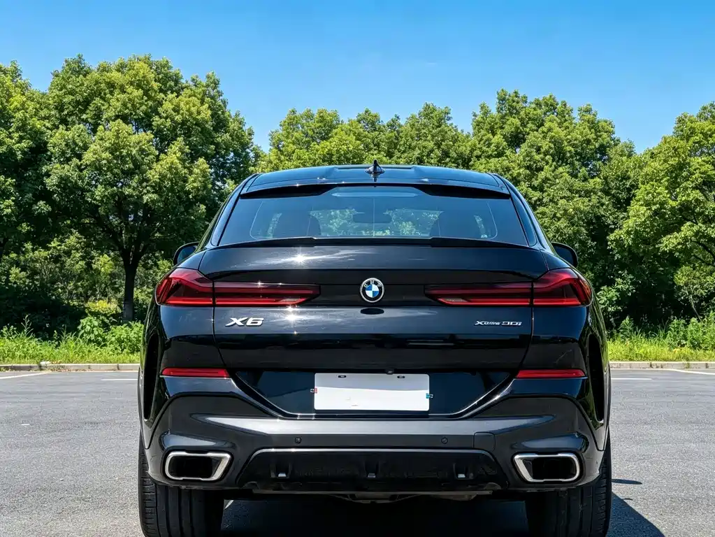 BMW X6 xDrive30i M Sport Package, фото 8