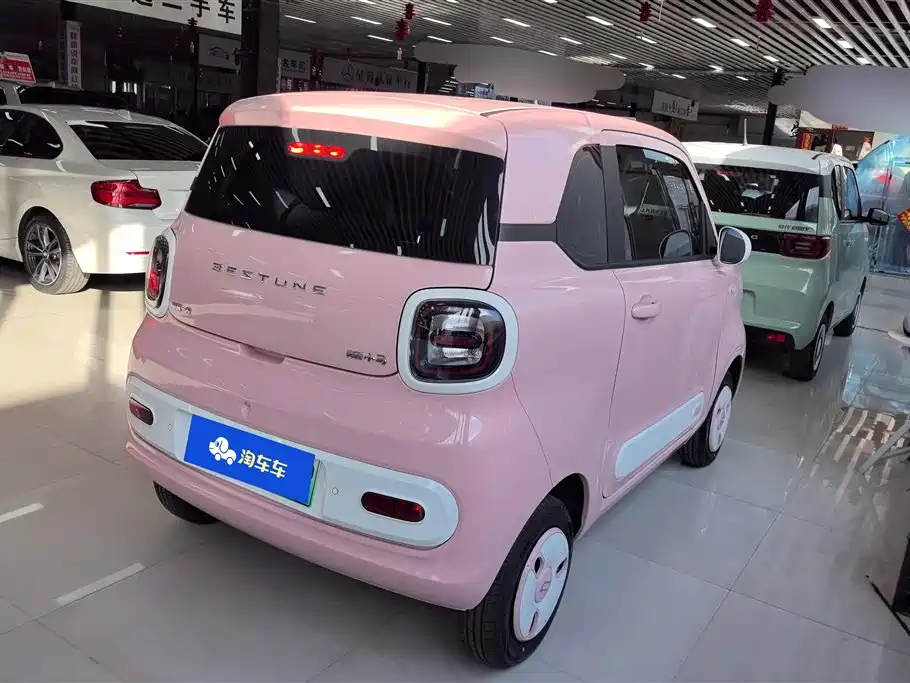 BESTUNE PENTIUM PONY