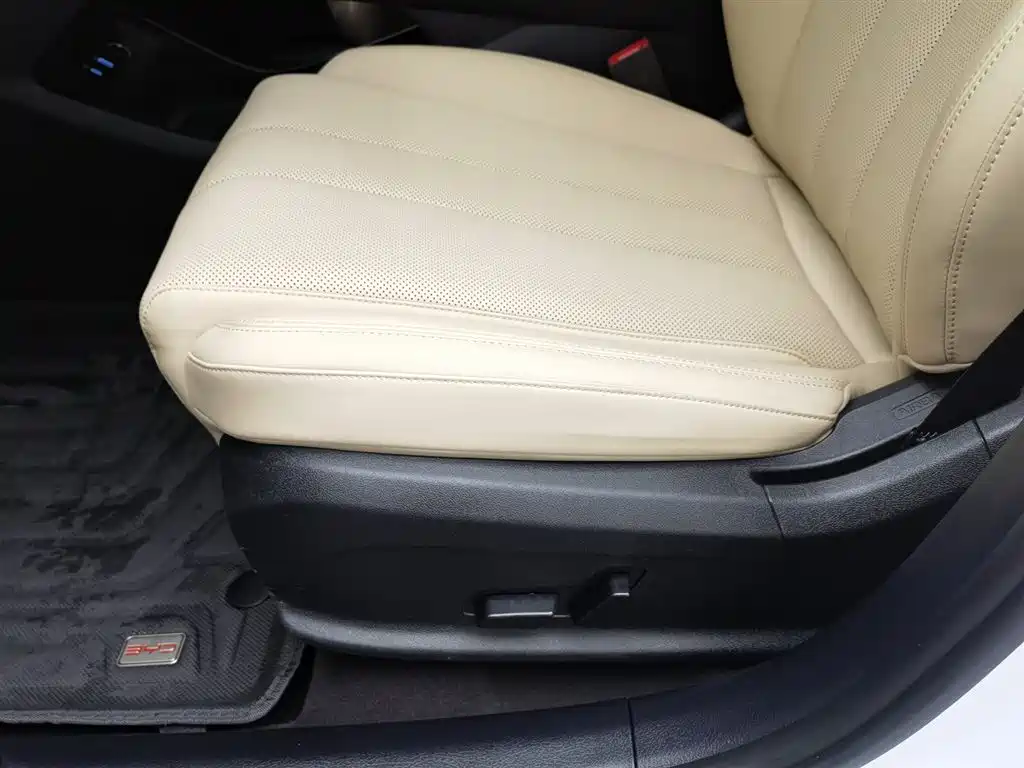 BYD SONGJIANG NEW ENERGY