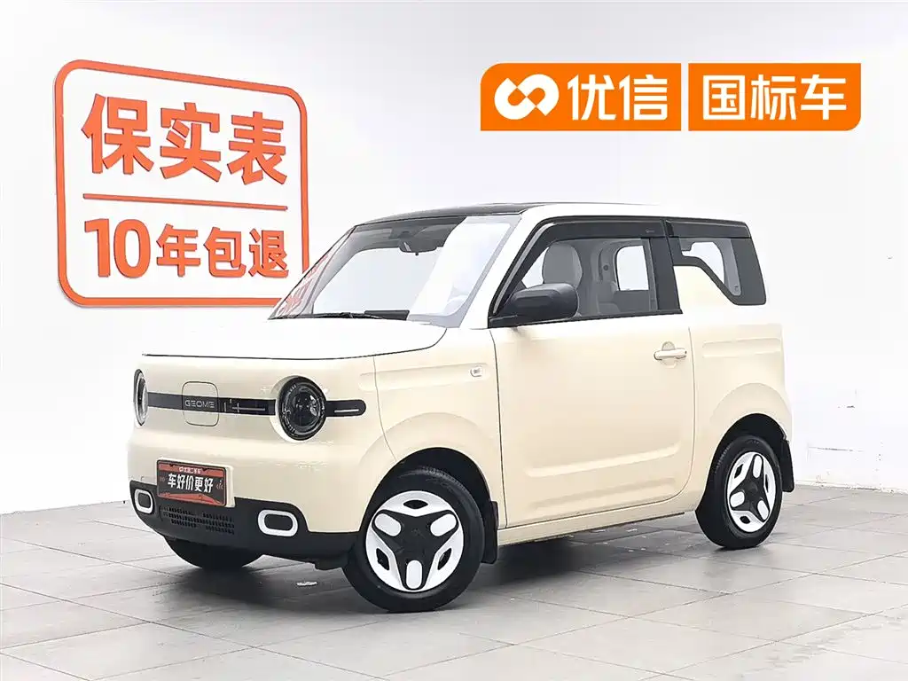 BYD Panda 2025 Panda mini 210km Energetic Bear