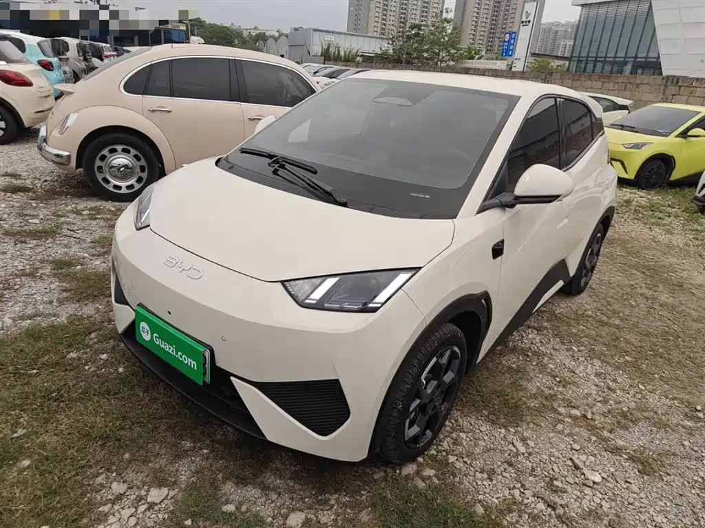 Byd Seagull 2025