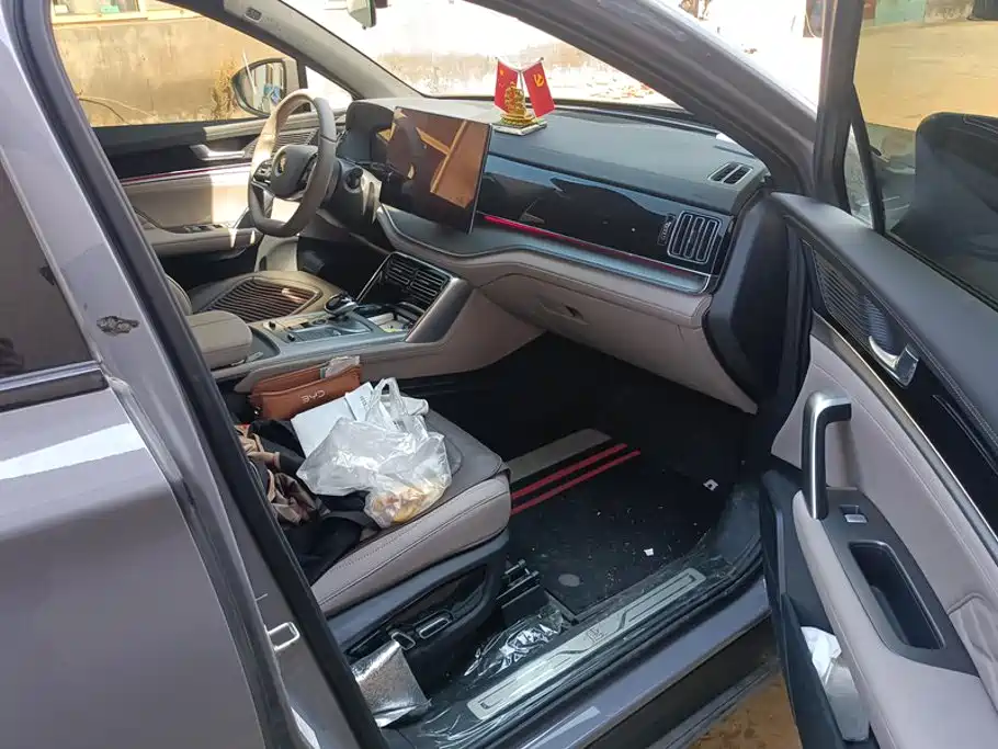 BYD Tang New Energy — миниатюра 8