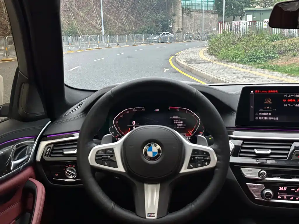 BMW 5 Series 5 2020 530Li Premium M Sport