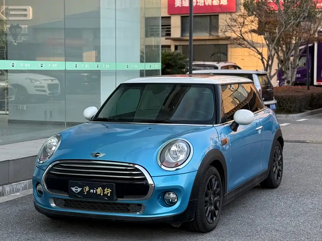 Mini Mini 2015