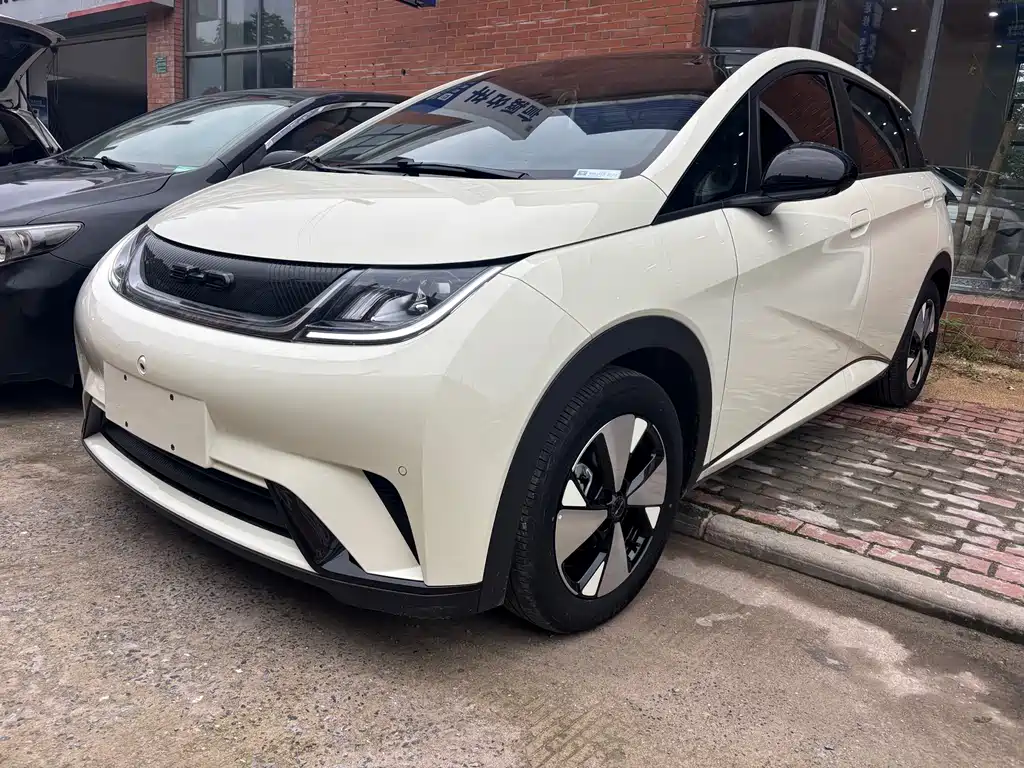 Byd Dolphin 2023