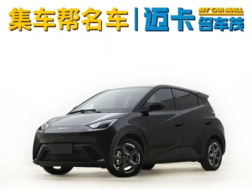 BYD Seagull 2024 305km Freedom