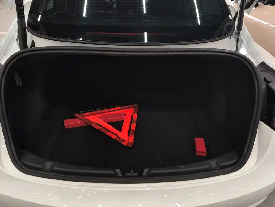 Tesla Model 3 — миниатюра 4