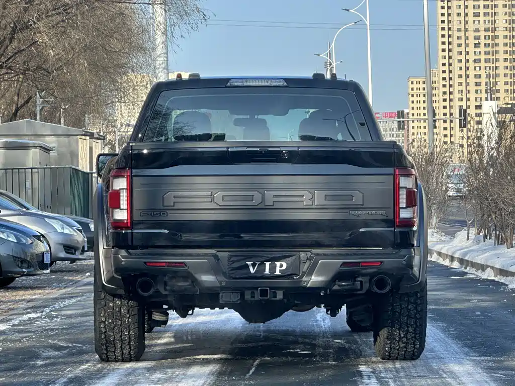 FORD F 150 RAPTOR