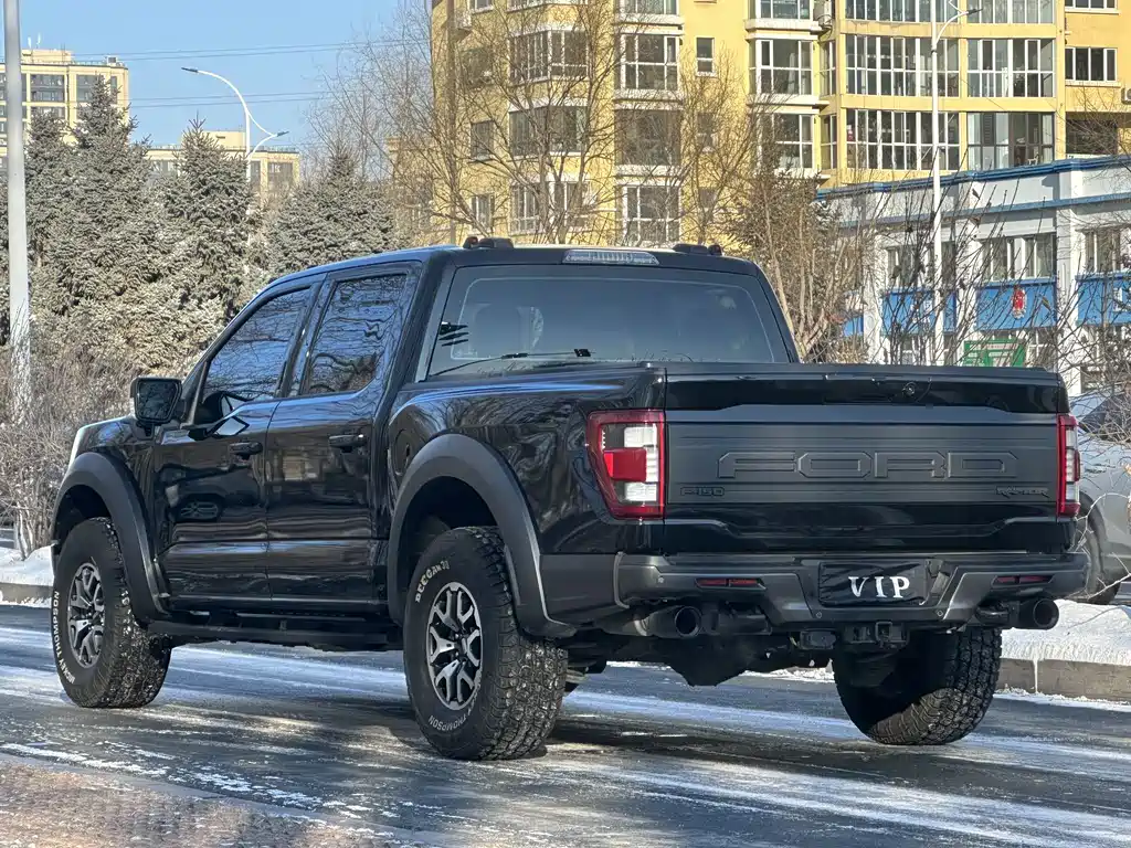 FORD F 150 RAPTOR