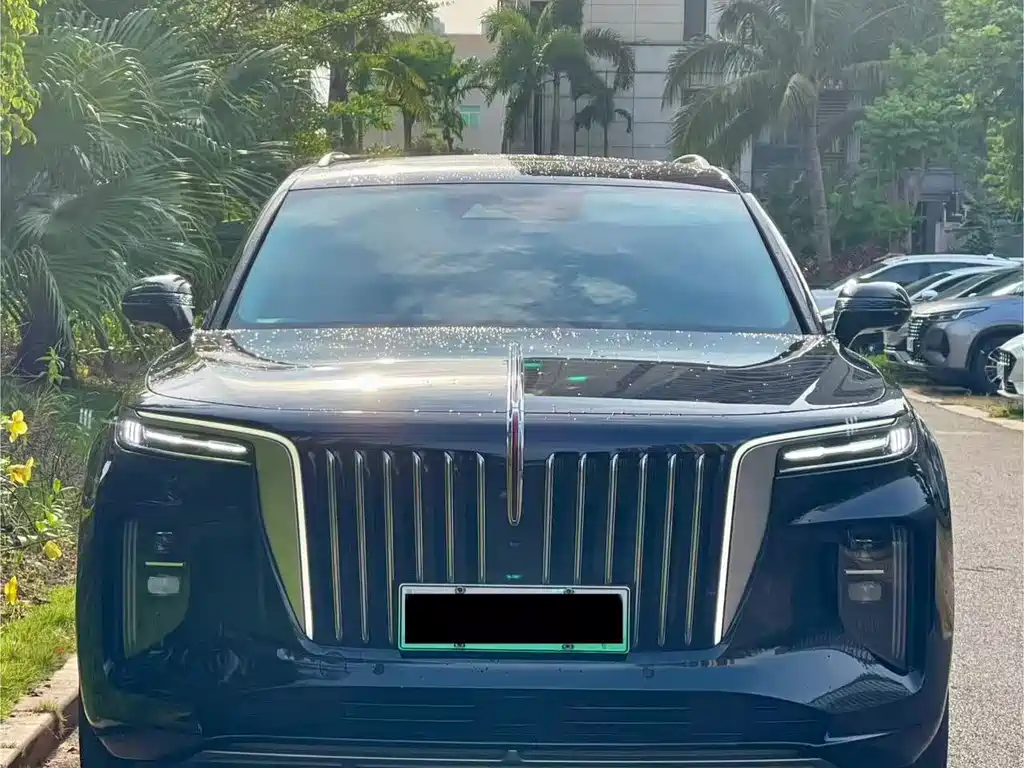Hongqi Hongqi E-HS9 — миниатюра 2