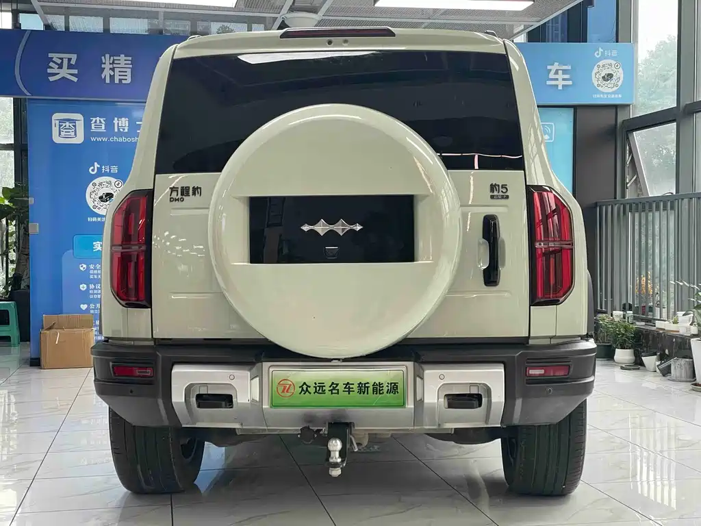 FANG CHENG BAO LEOPARD 5