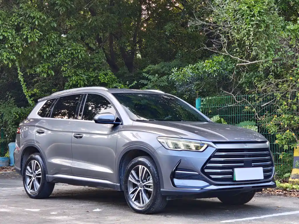 BYD Pro New Energy — миниатюра 2