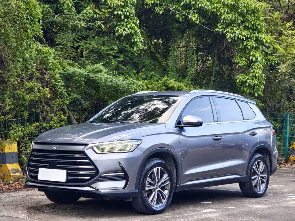 BYD Pro New Energy