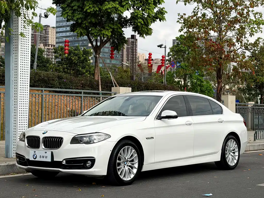 BMW 5 Series 2013