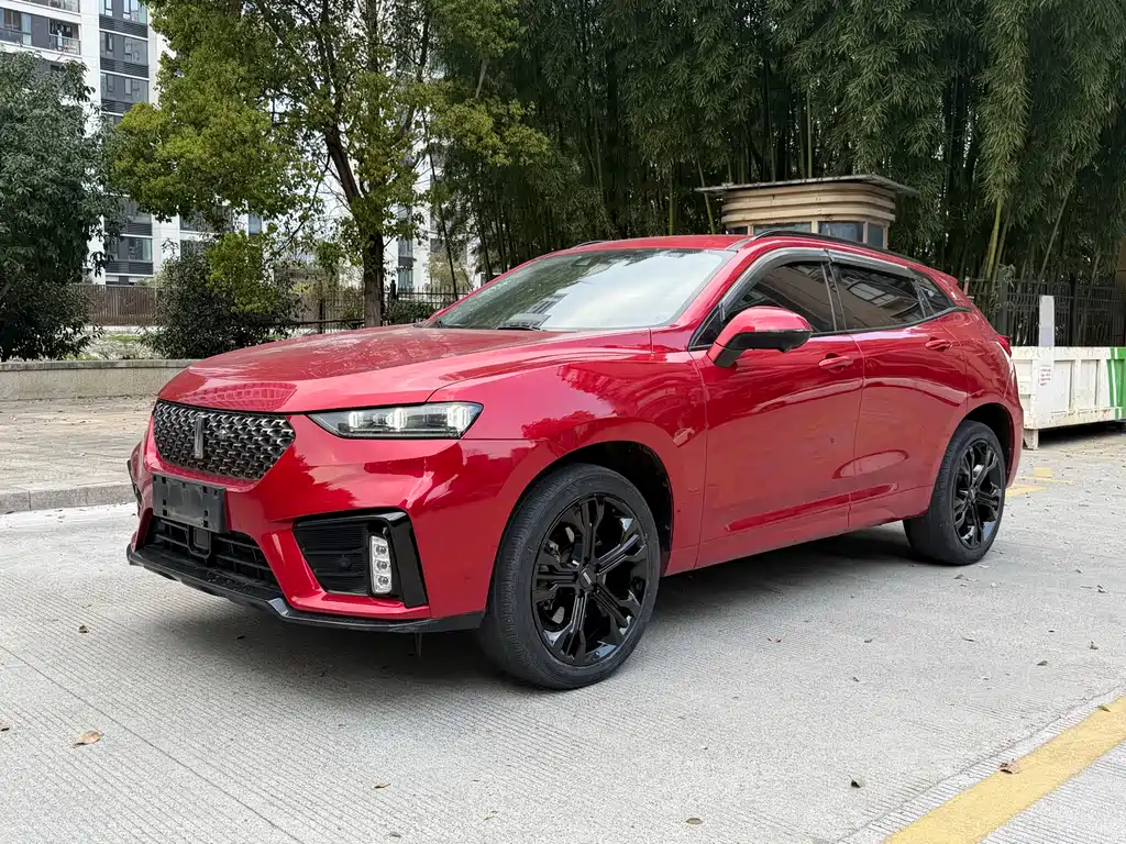 WEI PAI WEI BRAND VV7