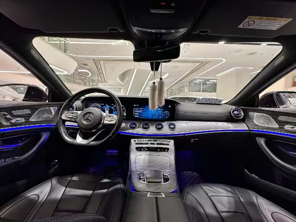 Mercedes-Benz CLS 2021 CLS 300 Luxury