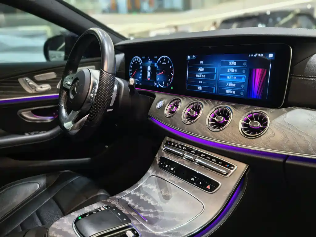 Mercedes-Benz CLS 2021 CLS 300 Luxury