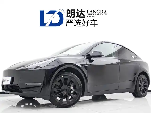 TESLA MODEL Y 2021