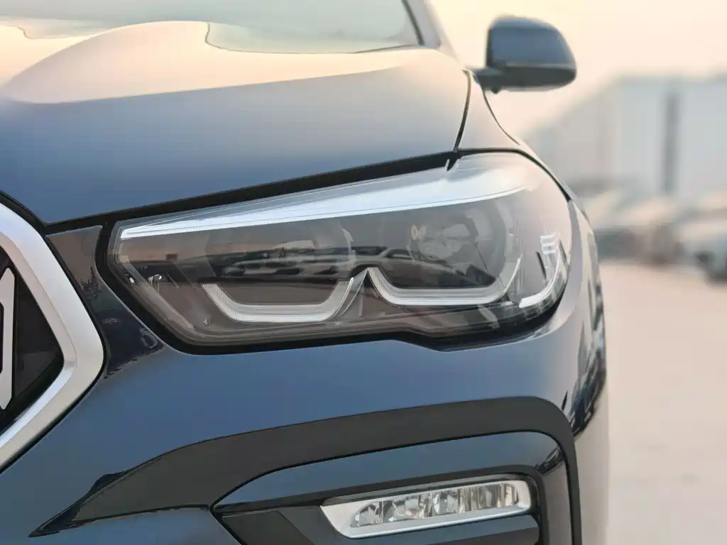 BMW X6 2021 xDrive30i M Sport