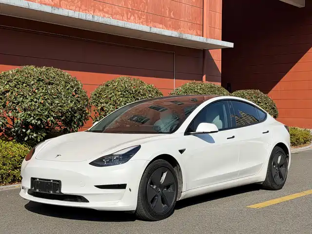 TESLA MODEL 3 2023