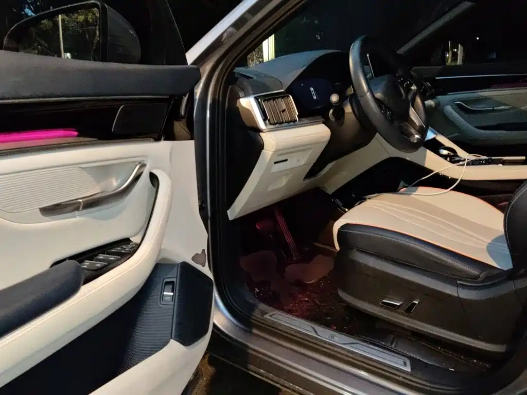 BYD PLUS New Energy — миниатюра 17
